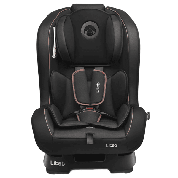 Cadeirinha Fisher-Price Arya